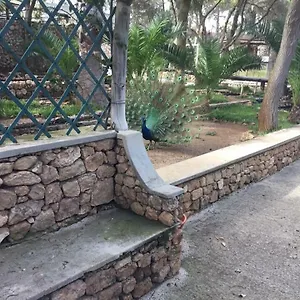 Homestay 16 Porto Santo